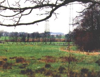 Das Mühlenbachtal in Brambauer soll in seiner heutigen Form erhalten bleiben, fordert das Presbyterium. (Foto: Ingo Neubold)