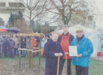 Baumpate Jürgen Evert, Oliver Danne und Michael Krippes (v.l.) bei der Baumpflanzaktion. RN-Foto Günther Goldstein